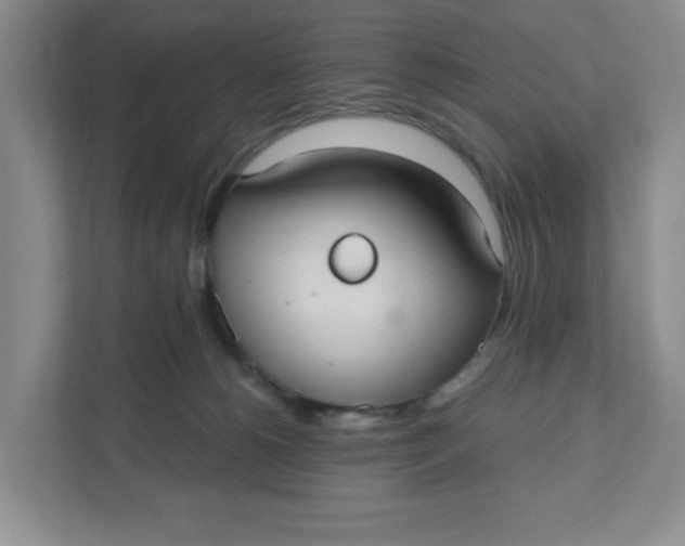 X0000111420180200908031312