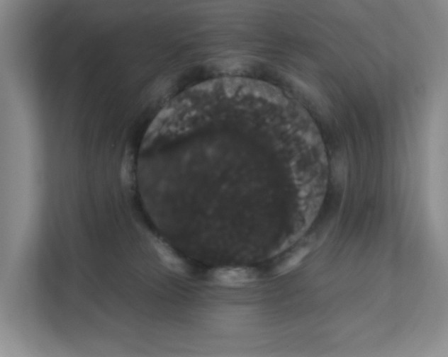 X0000111420181200908031312