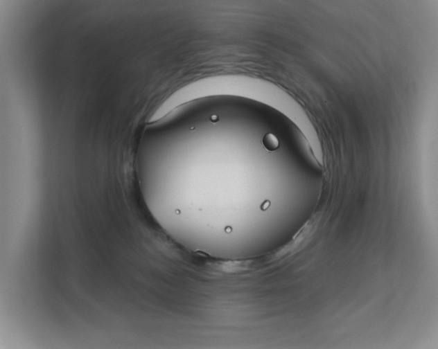 X0000111420184200908031312