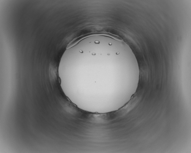 X0000111420188200908031312