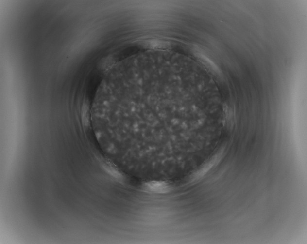 X0000111420189200908031312