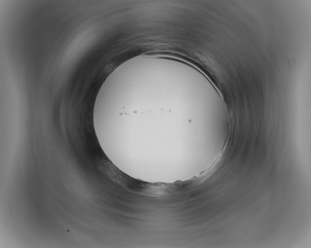 X0000111420190200908031312