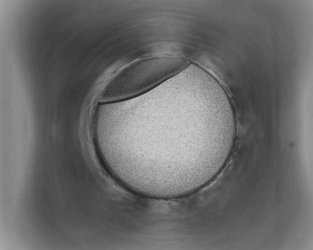 X0000111420193200908031312