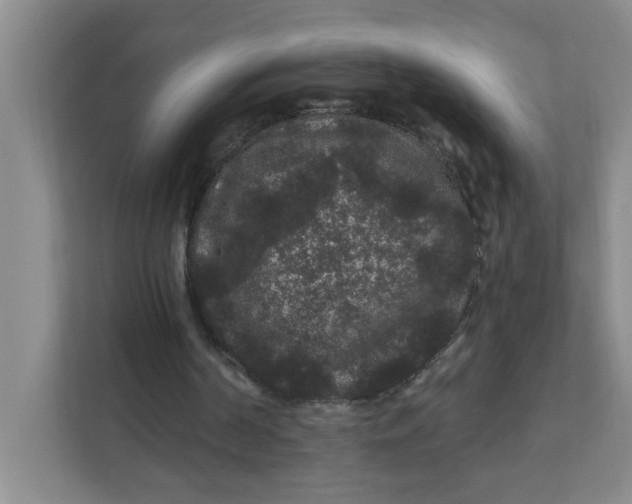 X0000111420194200908031312