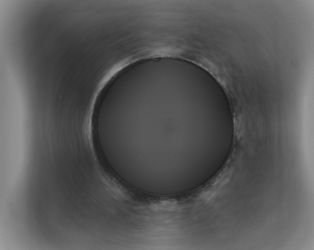 X0000111420196200908031312