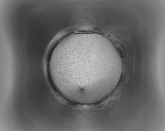 X0000111420197200908031312