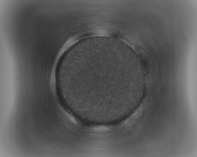 X0000111420198200908031312