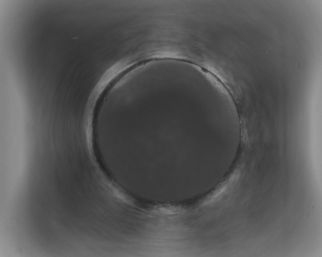 X0000111420199200908031311