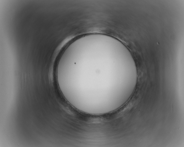 X0000111420200200908031311