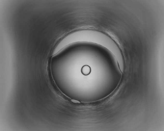 X0000111420201200908031311