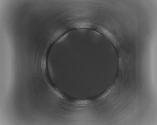 X0000111420202200908031311