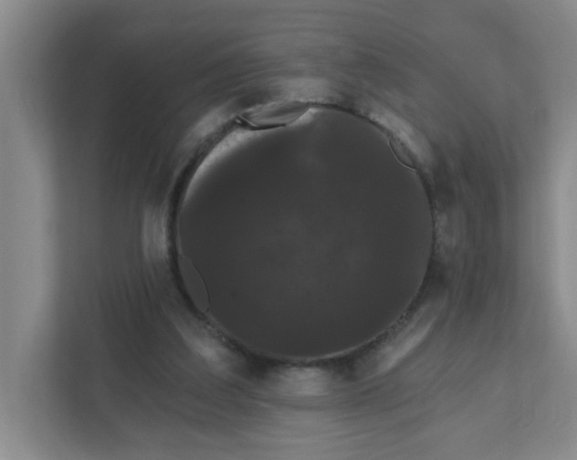 X0000111420203200908031311
