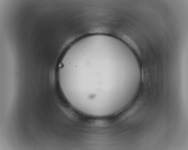 X0000111420204200908031311