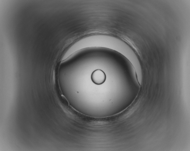 X0000111420205200908031311