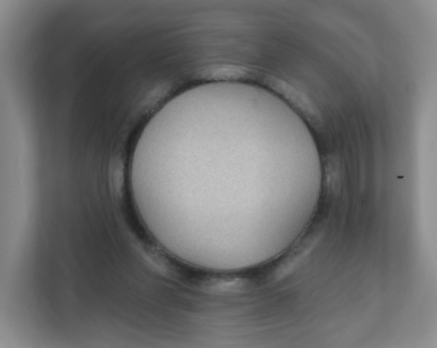 X0000111420206200908031311