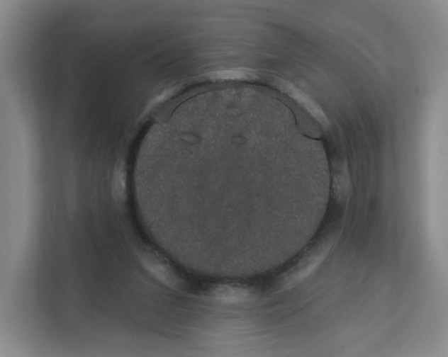 X0000111420207200908031311