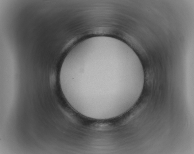 X0000111420208200908031311