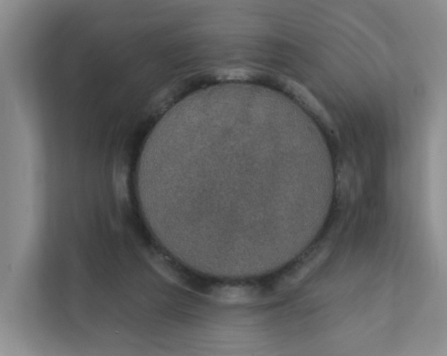 X0000111420209200908031311