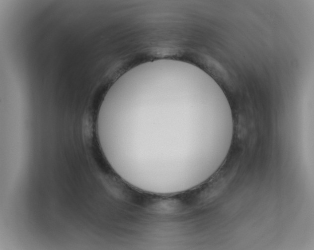 X0000111420210200908031311