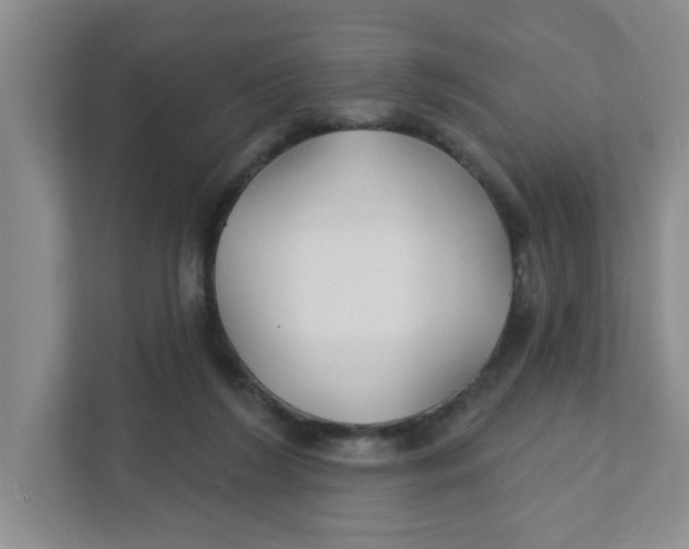 X0000111420212200908031311