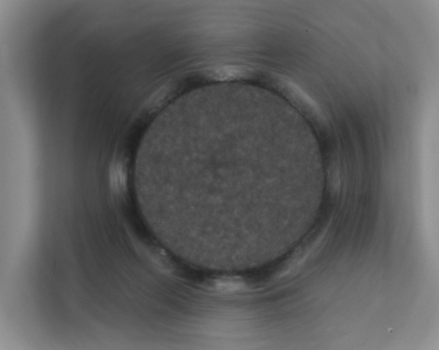 X0000111420214200908031311