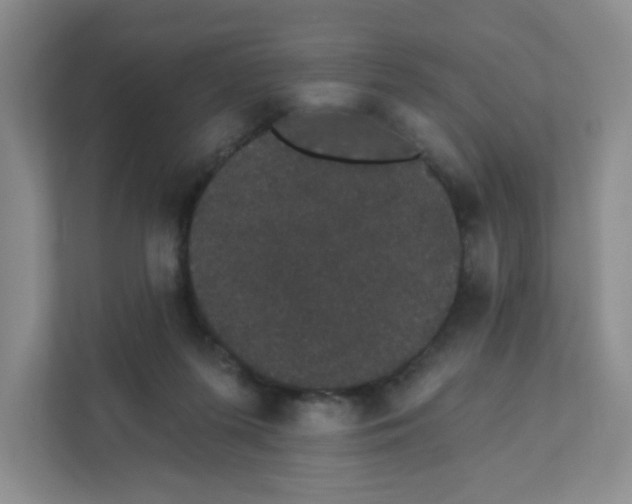 X0000111420215200908031311