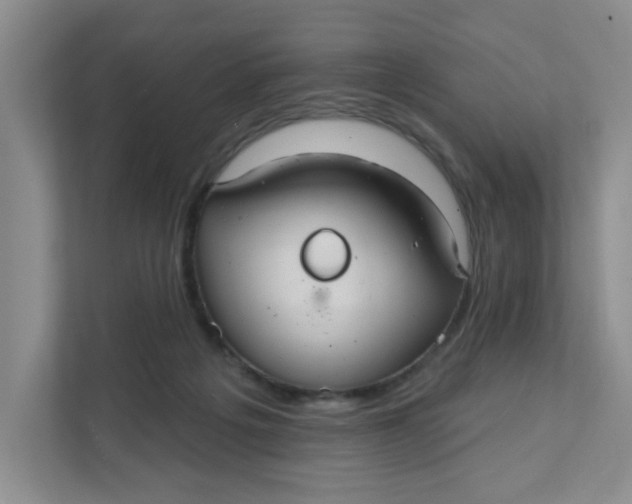 X0000111420217200908031311