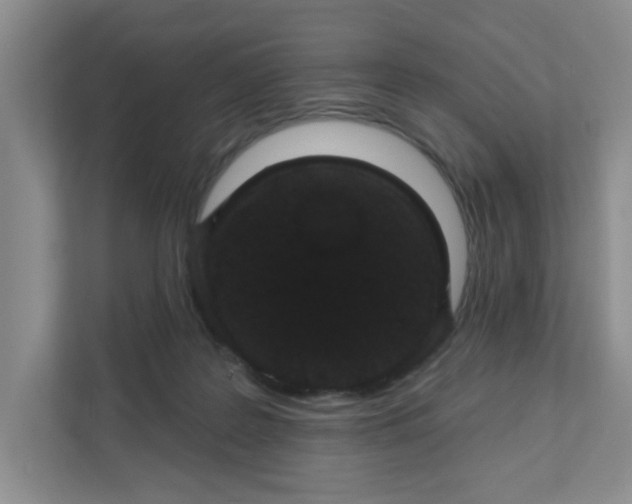 X0000111420219200908031311