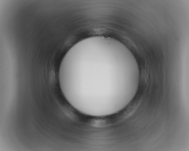 X0000111420220200908031311