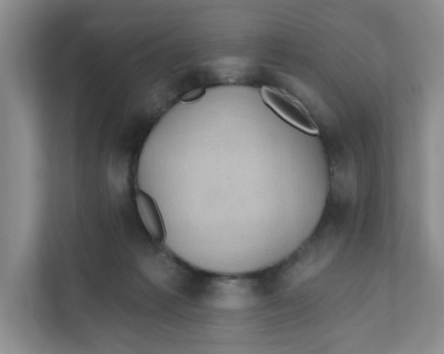 X0000111420221200908031311