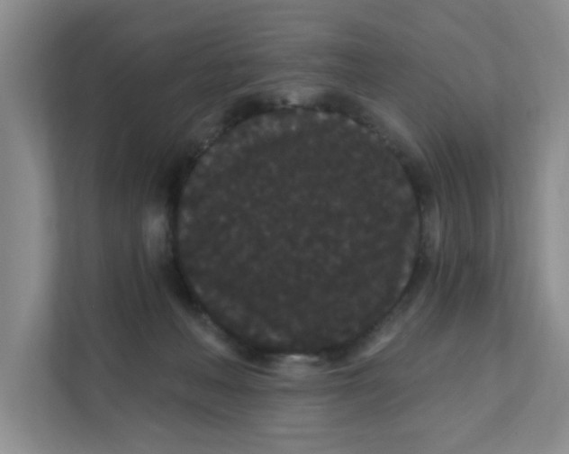 X0000111420222200908031311