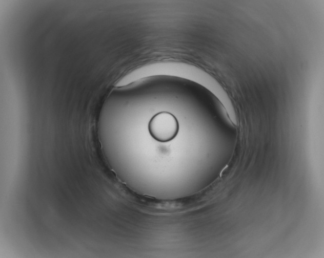 X0000111420225200908031311