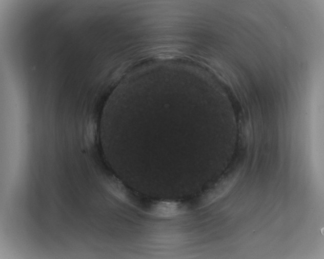 X0000111420227200908031311