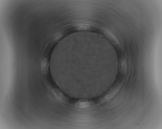 X0000111420228200908031311