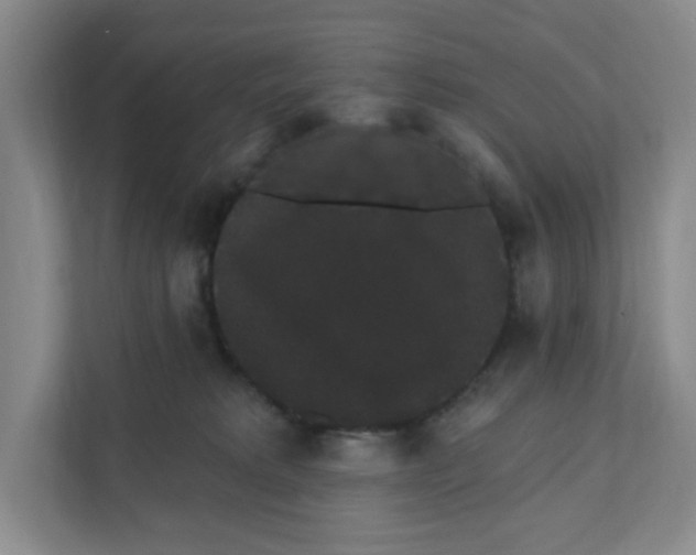 X0000111420229200908031311