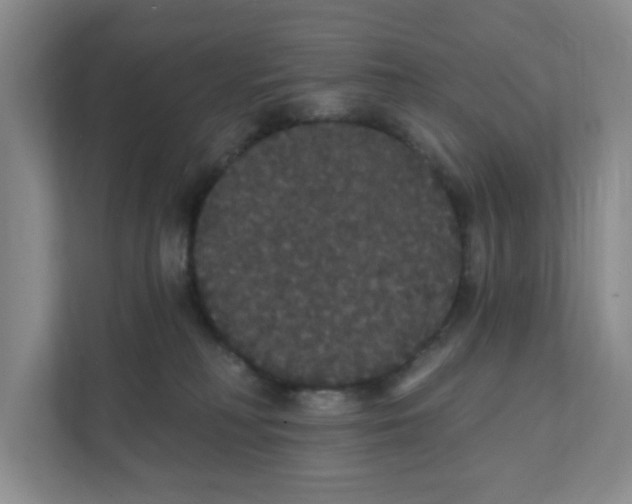 X0000111420230200908031311
