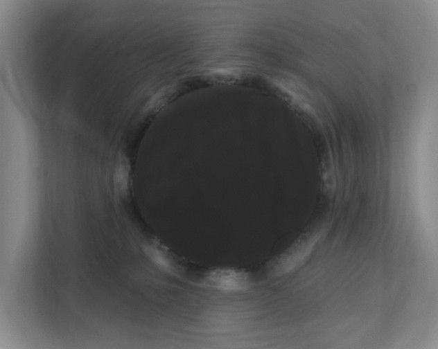 X0000111420231200908031311