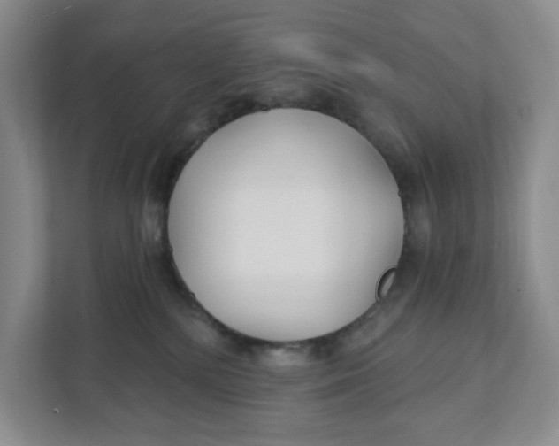 X0000111420232200908031311