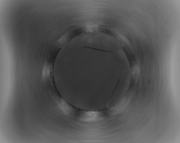 X0000111420233200908031311