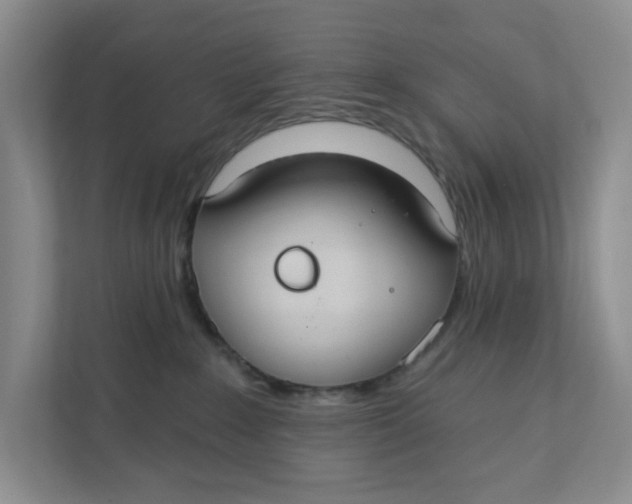 X0000111420235200908031311