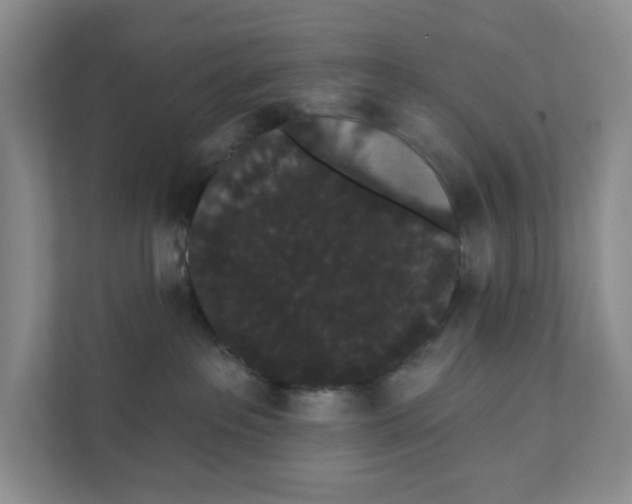 X0000111420237200908031311