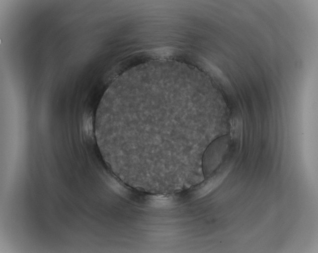X0000111420238200908031311