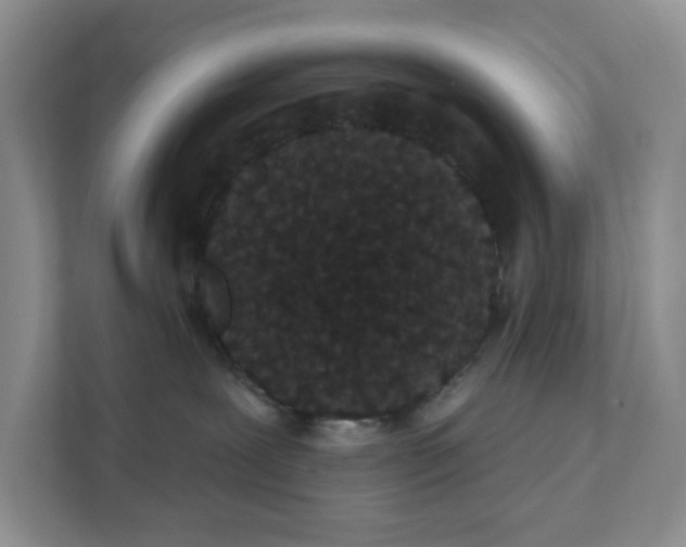 X0000111420239200908031311