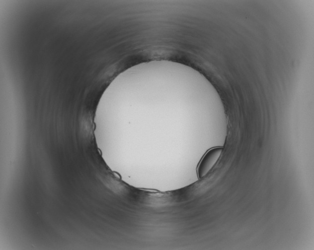 X0000111420240200908031311