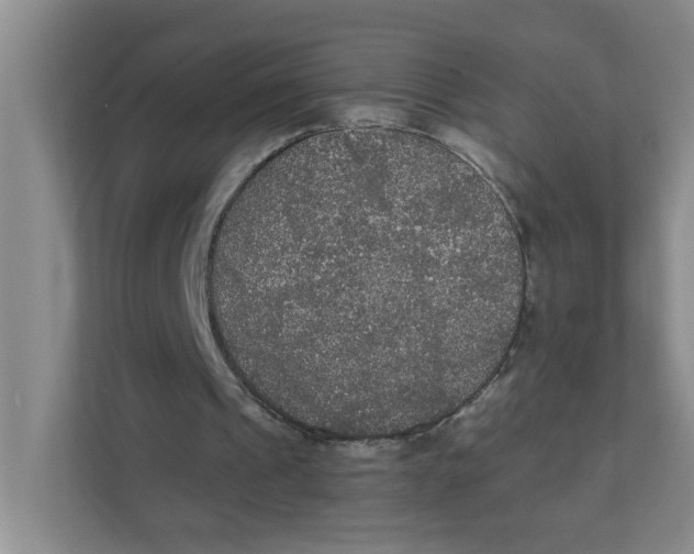 X0000111420241200908031310