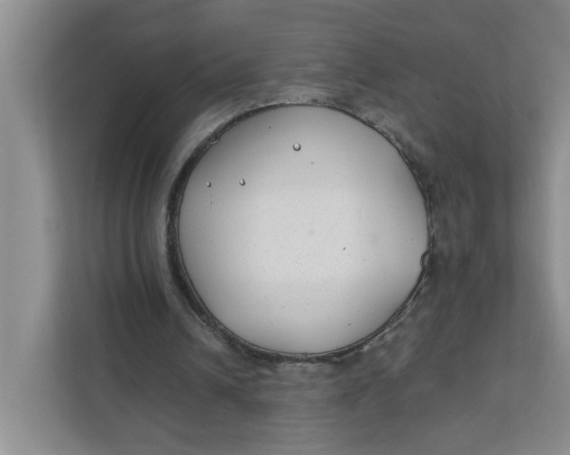 X0000111420242200908031310