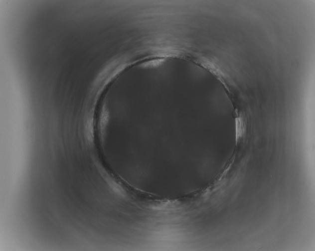 X0000111420243200908031310