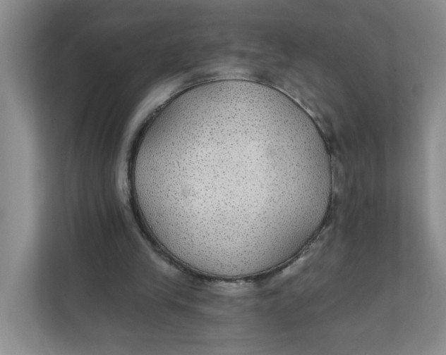 X0000111420245200908031310