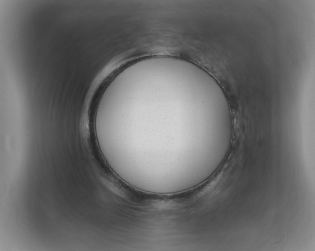 X0000111420246200908031310