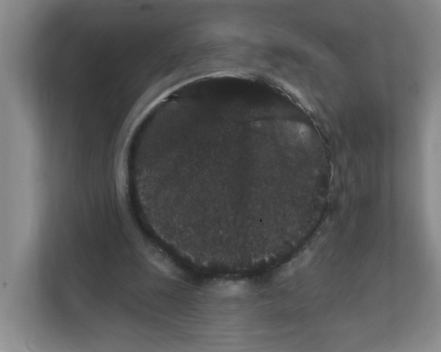 X0000111420247200908031310